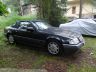 DSC04353.jpg