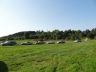 DSC04396.jpg