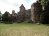 DSC04117.jpg