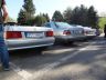 DSC05120.jpg