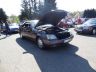 DSC05151.jpg