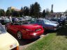 DSC05167.jpg