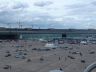 DSC09727.jpg