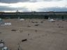 DSC09737.jpg